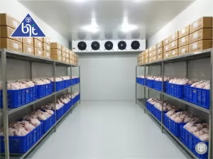 Cold Storage Chiller and Freezer Room for Storage Meat